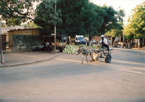 Ziguinchor